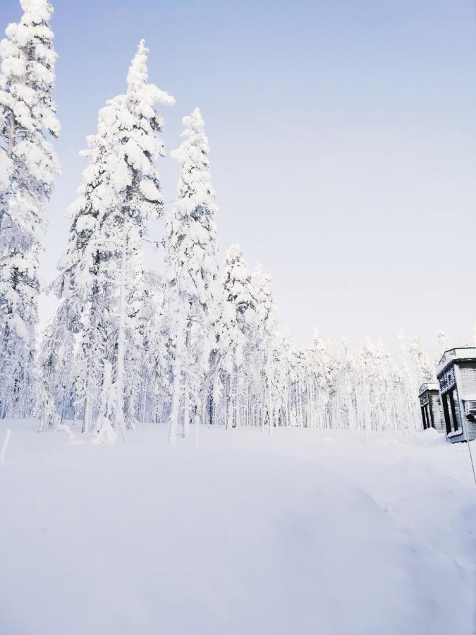 Levi Sky Igloo With Private Sauna And Hot Tub Kültér fotó